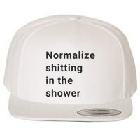 Normalize Shitting In The Shower Dank Meme Wool Snapback Cap