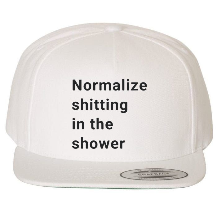 Normalize Shitting In The Shower Dank Meme Wool Snapback Cap