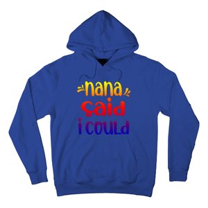 Nana Said I Could Funny From Nana To Grand Great Gift Hoodie