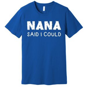 Nana Said I Could Funny Design Gift Premium T-Shirt