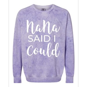 Nana Said I Could Funny Gift Colorblast Crewneck Sweatshirt