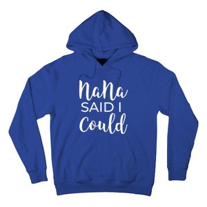 Nana Said I Could Funny Gift Hoodie