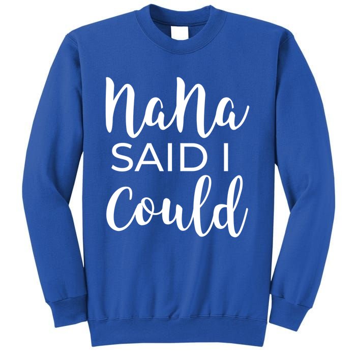 Nana Said I Could Funny Gift Sweatshirt