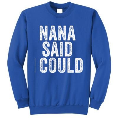 Nana Said I Could Grandparent Granddaughter Grandson Funny Meaningful Gift Sweatshirt