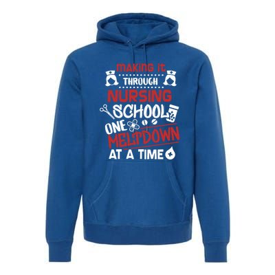 Nurse Student Making It Nursing School Gift Premium Hoodie