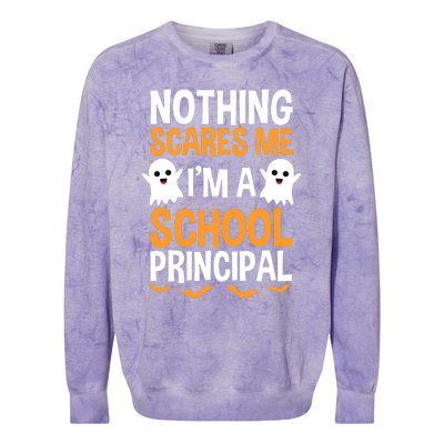 Nothing Scares Me IM A School Principal Halloween Costume Teacher Colorblast Crewneck Sweatshirt