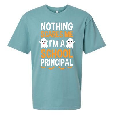 Nothing Scares Me IM A School Principal Halloween Costume Teacher Sueded Cloud Jersey T-Shirt