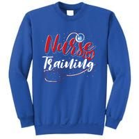 Nursing School Nurse In Training Stethoscope Future Nurse Cool Gift Sweatshirt