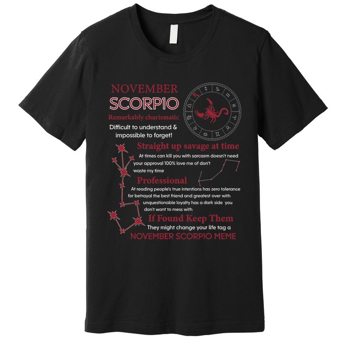 November Scorpio Remarkably Charismatic Difficult Understand Premium T-Shirt