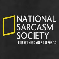National Sarcasm Society Like We Need Your Support Beanie