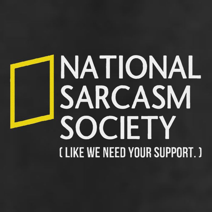 National Sarcasm Society Like We Need Your Support Beanie