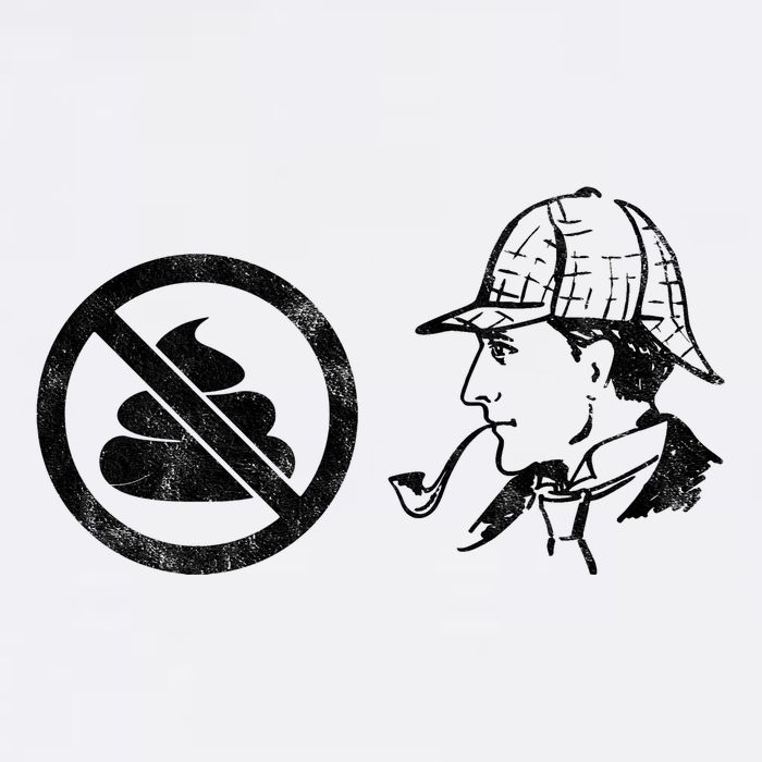 No Shit Sherlock Garment-Dyed Sweatshirt