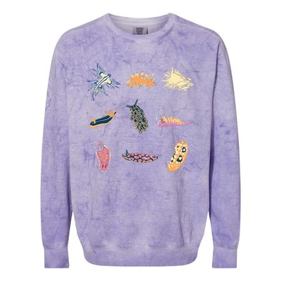 Nudibranch Sea Slug Marine Biologist And Aquarist Colorblast Crewneck Sweatshirt