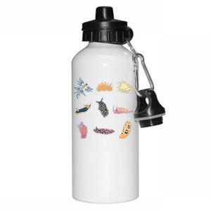 Nudibranch Sea Slug Marine Biologist And Aquarist Aluminum Water Bottle