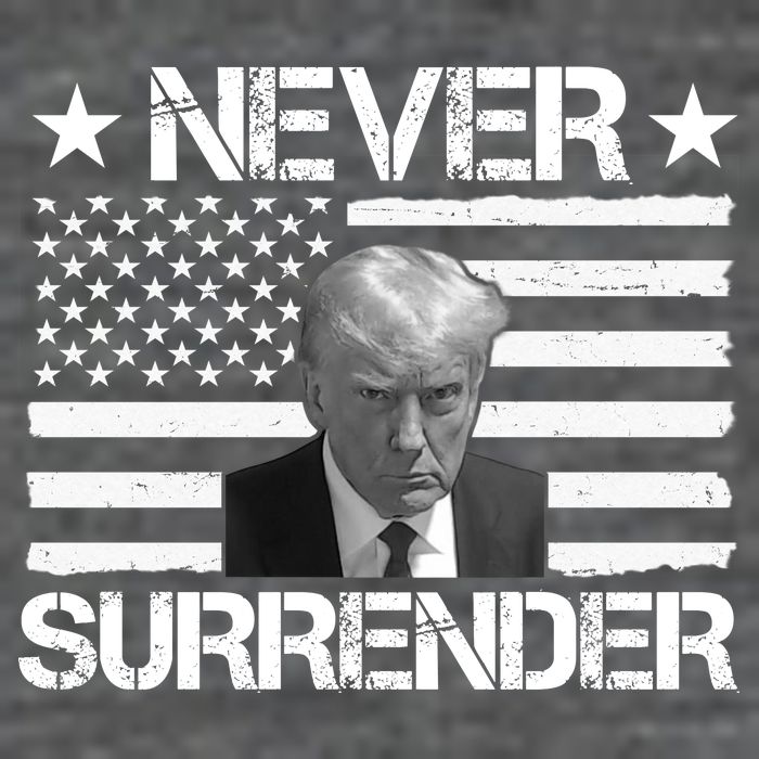 Never Surrender Trump American Flag Poster