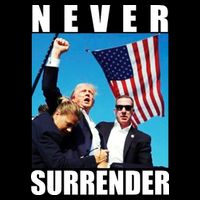 Never Surrender Trump 2024 Pennsylvania Rally Shooting Flatbill Hat