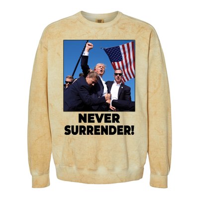 Never Surrender Trump Rally Shooting Donald Trump Statement Colorblast Crewneck Sweatshirt