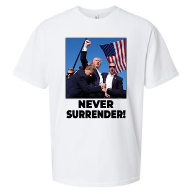 Never Surrender Trump Rally Shooting Donald Trump Statement Sueded Cloud Jersey T-Shirt