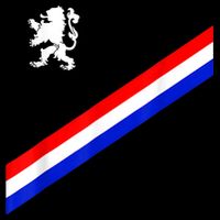 Netherlands Soccer Team Dutch Flag Jersey Football Fans Button
