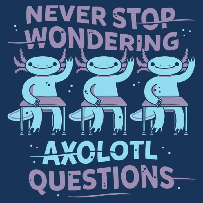Never Stop Wondering AXOLOTL QUESTIONS Sustainable Bucket Hat