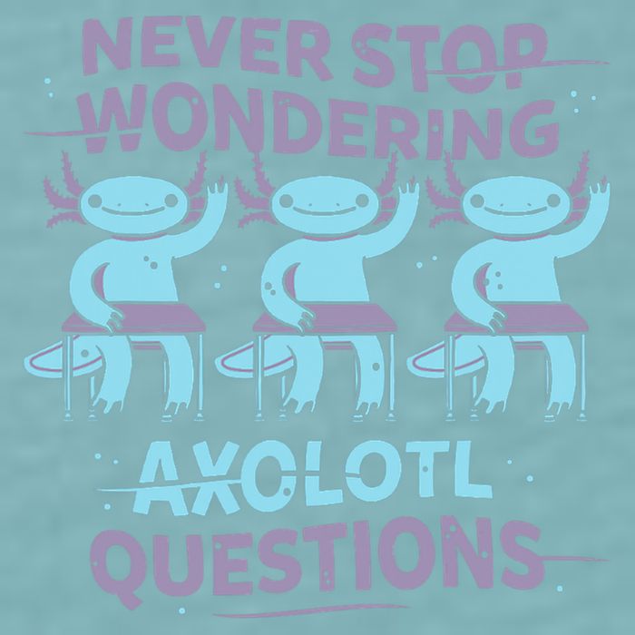Never Stop Wondering AXOLOTL QUESTIONS Sueded Cloud Jersey T-Shirt