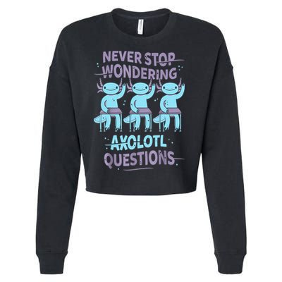 Never Stop Wondering AXOLOTL QUESTIONS For Axolotl Lovers Cropped Pullover Crew