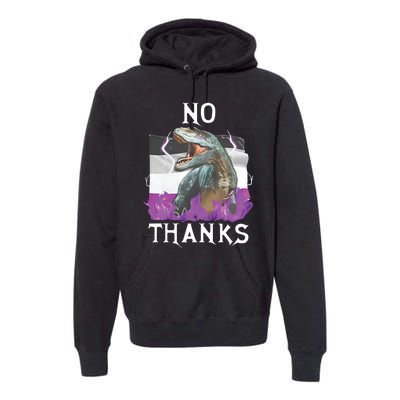 No Thanks Asexual Flag Premium Hoodie