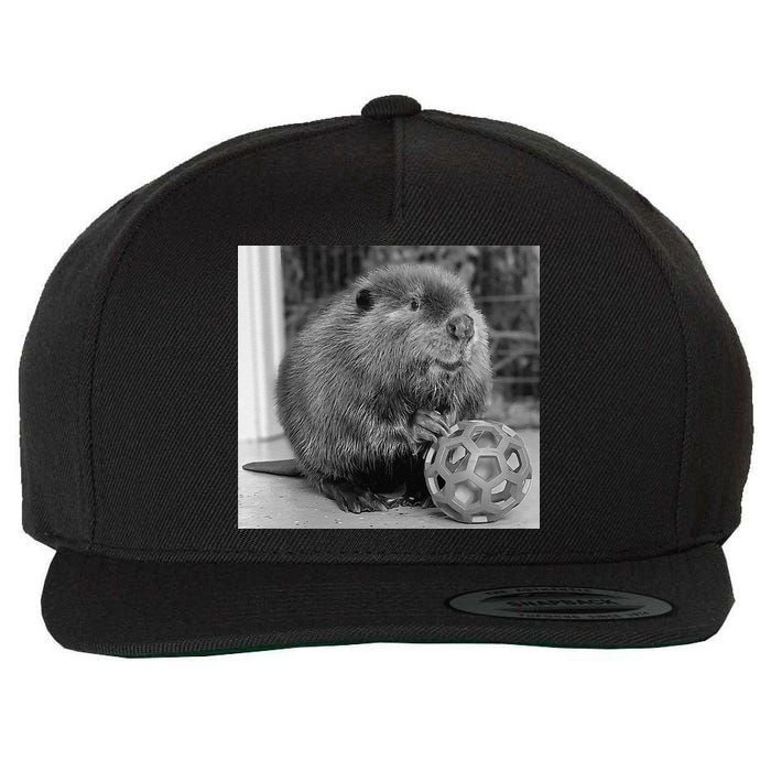 Nibi The Beaver With The Moon Vintage Beaver Lover Wool Snapback Cap