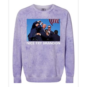 Nice Try Brandon Donald Trump Rally Failed Assassination Colorblast Crewneck Sweatshirt