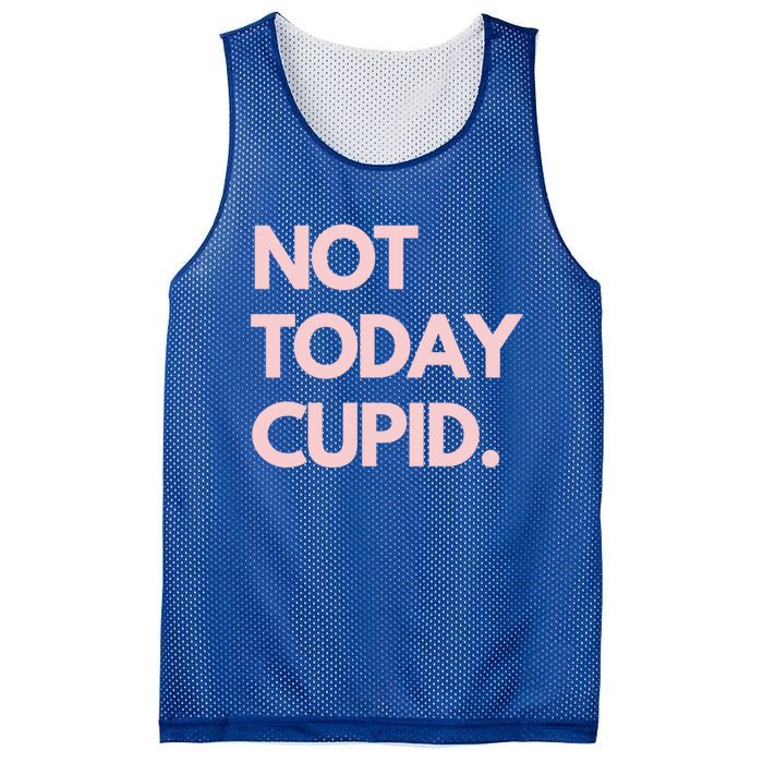 Not Today Cupid Anti Valentine Gift Mesh Reversible Basketball Jersey Tank