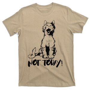 Not Today Crazy Cats Graphic Cute Funny T-Shirt