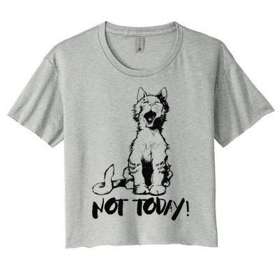 Not Today Crazy Cats Graphic Cute Funny Women's Crop Top Tee