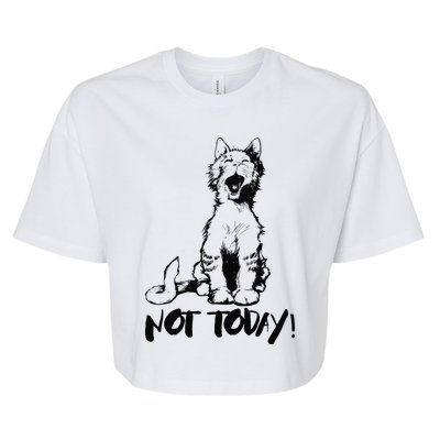 Not Today Crazy Cats Graphic Cute Funny Bella+Canvas Jersey Crop Tee