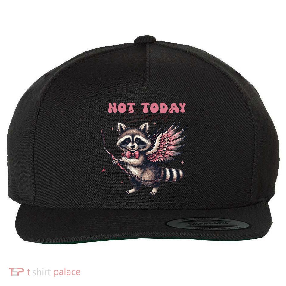 Not Today Cupid Feral Funny Raccoon Lovers Valentine’S Day Cool Gift Wool Snapback Cap