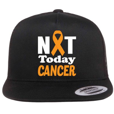 Not Today Cancer Fighter And Survivor Gift Flatbill Hat