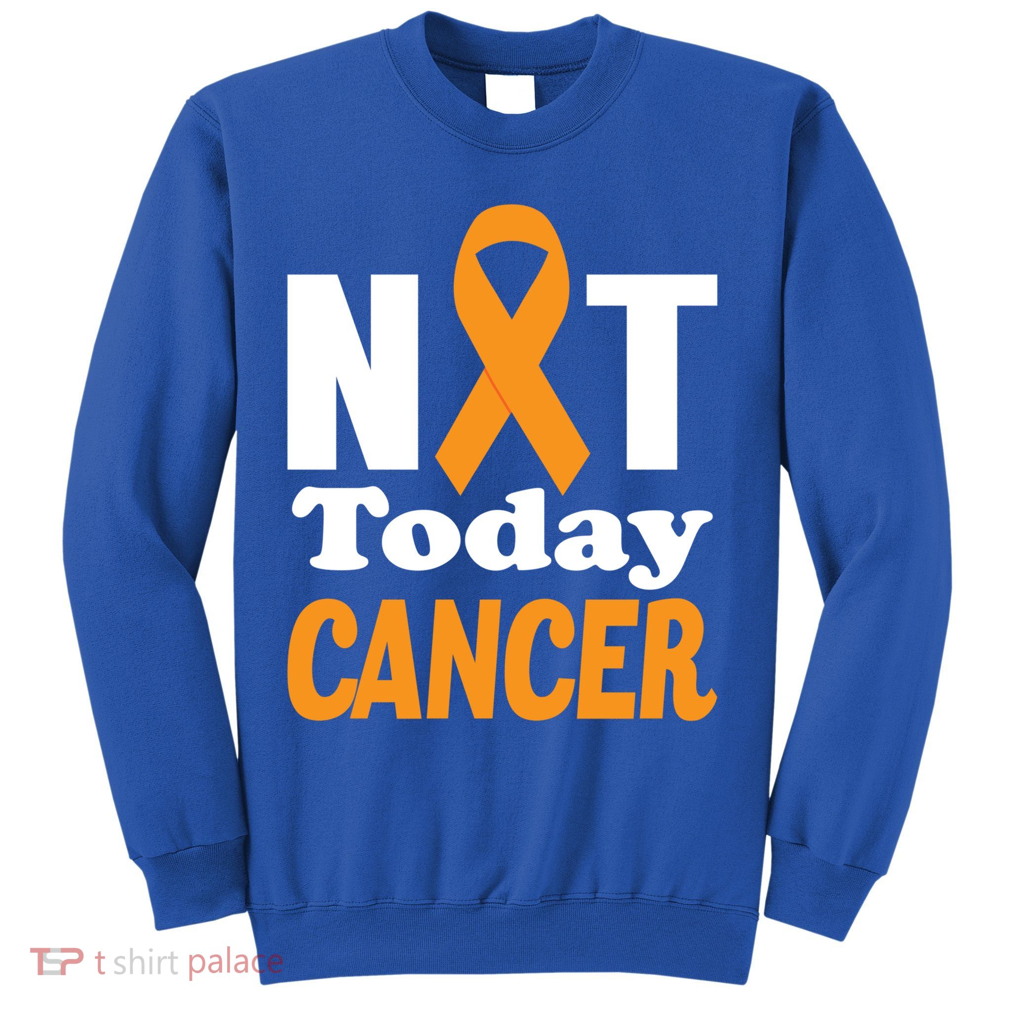 Not Today Cancer Fighter And Survivor Gift Sweatshirt