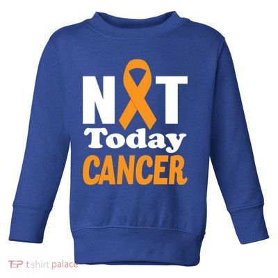 Not Today Cancer Fighter And Survivor Gift Toddler Sweatshirt