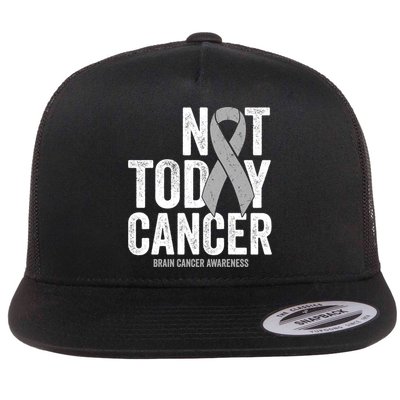 Not Today Cancer Brain Cancer Gray Tumor Awareness Ribbon Gift Flatbill Hat