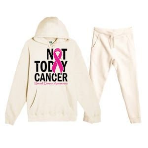 Not Today Cancer Pink Ribbon Breast Cancer Warrior Great Gift Premium Hooded Sweatsuit Set