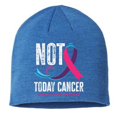 Not Today Cancer Support Thyroid Cancer Awareness Thyroid Cool Gift Sustainable Beanie