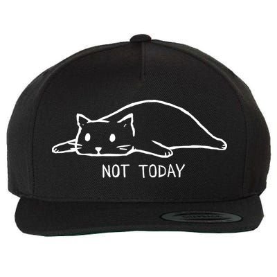 Not Today Crazy Cat Cute Cat For Lover Animal Tee Wool Snapback Cap