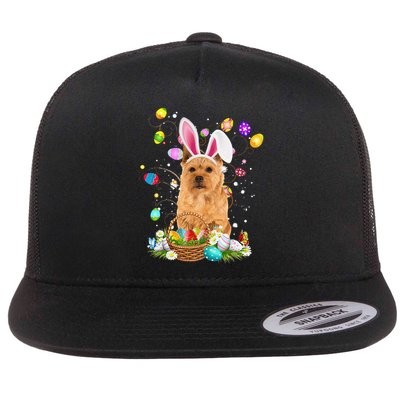 Norwich Terrier Dog Easter Egg Hunting Basket Easter Day Flat Bill Trucker Hat