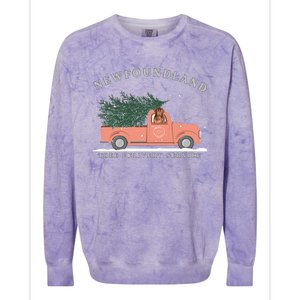 Newfoundland Tree Delivery Service Funny Christmas  Colorblast Crewneck Sweatshirt