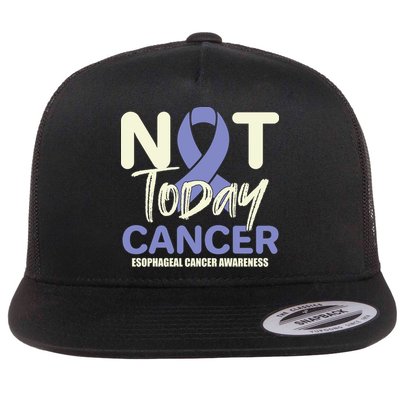 Not Today Esophageal Cancer Awareness Support Fighter Gift Flatbill Hat