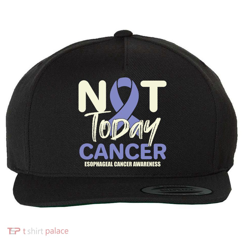 Not Today Esophageal Cancer Awareness Support Fighter Gift Wool Snapback Cap