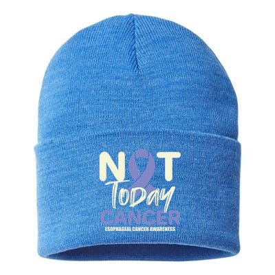 Not Today Esophageal Cancer Awareness Support Fighter Gift Sustainable Knit Beanie