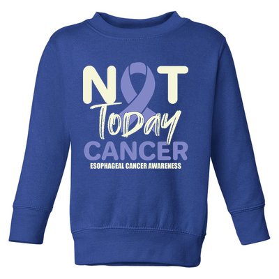 Not Today Esophageal Cancer Awareness Support Fighter Gift Toddler Sweatshirt