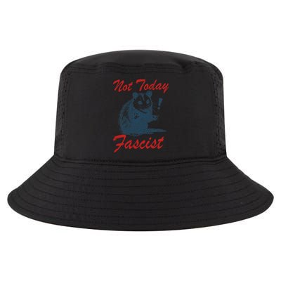 Not Today Fascist Funny Possum Meme Opossum Trash Panda .Png Cool Comfort Performance Bucket Hat