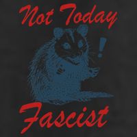 Not Today Fascist Funny Possum Meme Opossum Trash Panda .Png 7 Panel Mesh Trucker Snapback Hat