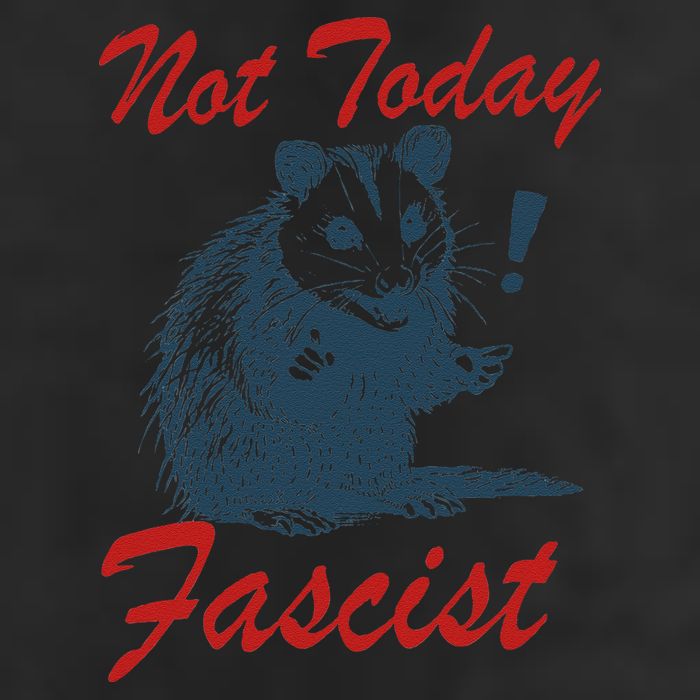 Not Today Fascist Funny Possum Meme Opossum Trash Panda .Png 7 Panel Mesh Trucker Snapback Hat